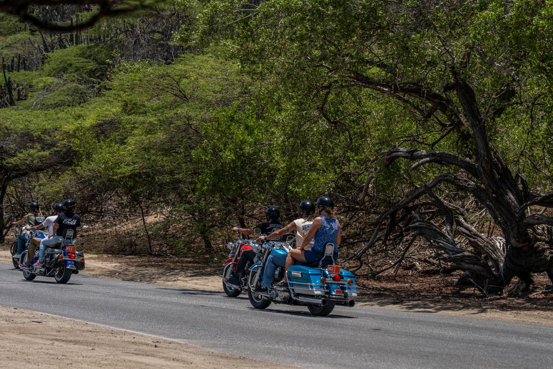 harley tour aruba